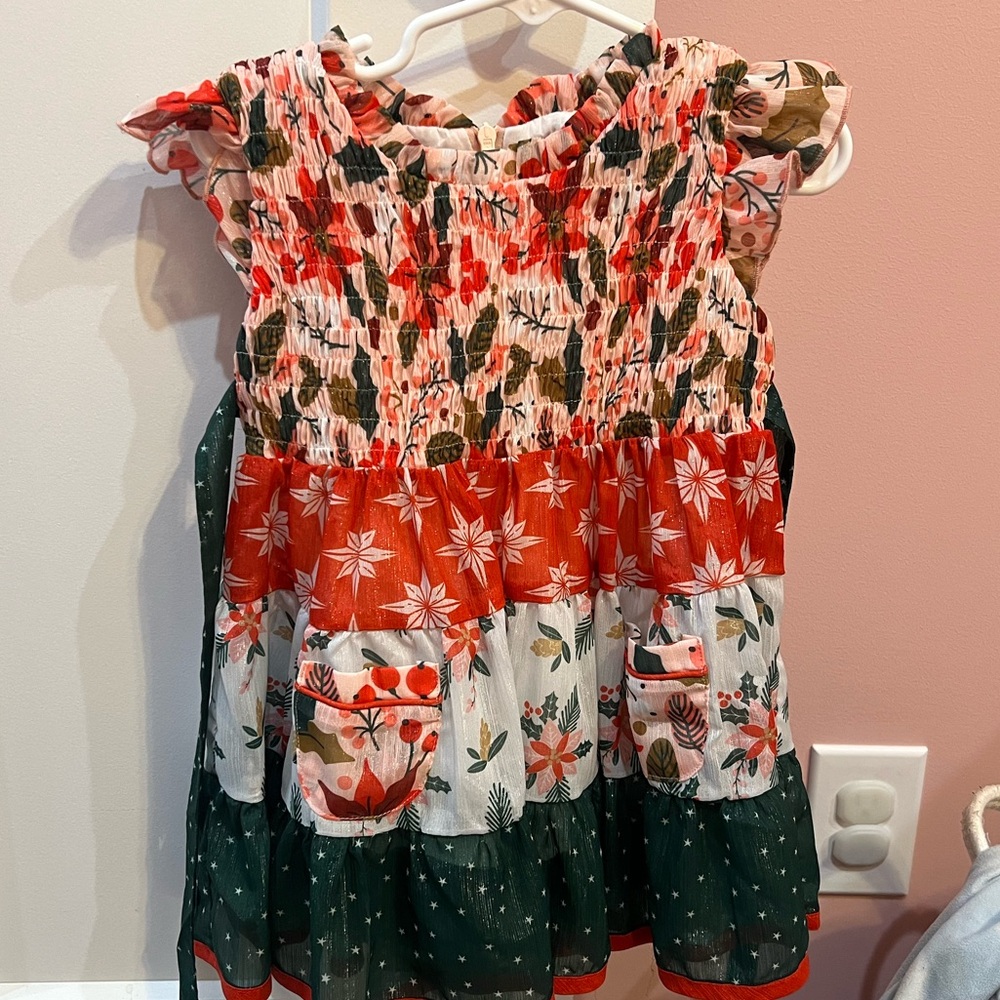 Cheeky Plum Vibrant Smocked Dress